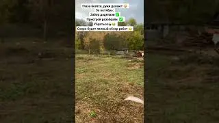 В начале октября участок был очищен от построек и бурьяна, так же радует новенький забор 😇