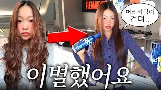 히피펌과 영원히 이별...🌟 긴생머리로 쫙쫙피고 을지로 야장 데이트vlog 까쥐🥰