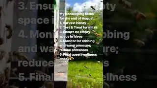 What are you up to this month in the bee yard?