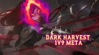 DARK HARVEST KATARINA