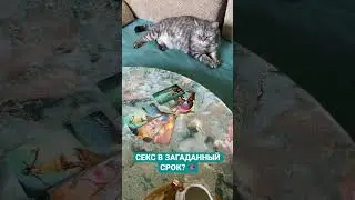 СЕКС В ЗАГАДАННЫЙ СРОК? 🫦~ Таро онлайн расклад 🔥