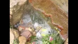 EL PUENTE DEL DRAGÓN DE ALCALÁ EN IMAGENES