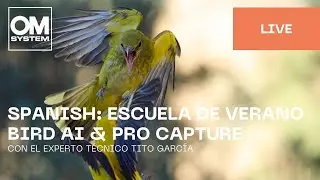Spanish | Escuela de Verano: Aprende sobre IA para aves y Pro Capture