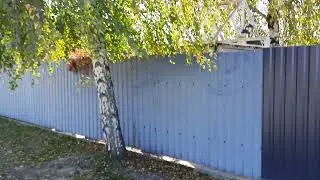 КАЛИНИНГРАД! ПОРА ОСЕННЯЯ! ТЕПЛО!