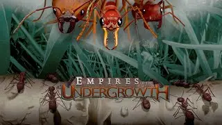 Empires Of The Undergrowth #4. Муравьи-Листорезы имба