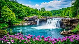Music therapy 🌿Healing Music for Your Heart and Soul