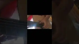 фендер