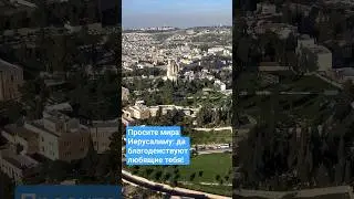 Просите мира Иерусалиму! | Община 