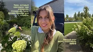 ДАЧНЫЙ влог: делаем БОРДЮР для КЛУМБЫ и высаживаем НОВЫЕ РАСТЕНИЯ. Проблемы с ИНСТРУМЕНТОМ.