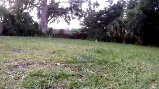 Tricopter Maiden