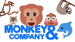 Monkey and Company
