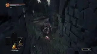Firelink roof jump 2