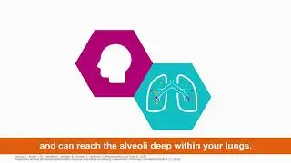 Animation highlights the effects that air pollution has on the public’s respiratory health