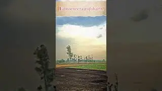 मेरा प्यारा सुंदर गांव ll ❣️❣️ I love my Village ll #shortsvideo #viral #trending #short