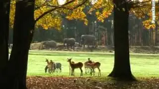 Parc Zoologique et Château de Thoiry -Parcs animaliers parcs