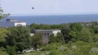 Днепрорудный 7 июня 2023 года.