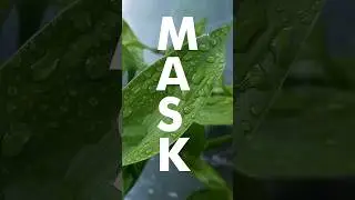 Quick Mask in Photoshop #shorts #photoshop #shortvideo