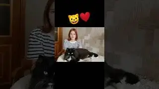 Лайк, если любишь котиков) 