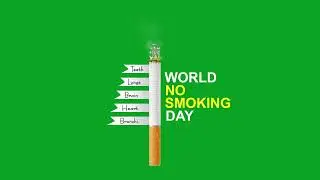 Cigarette Smoke Green Screen Video | World No Smoking Day