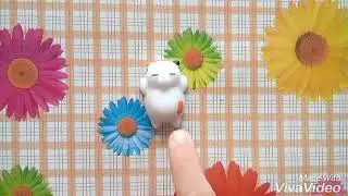 Антистрессовые игрушки,фиджет куб и котик
