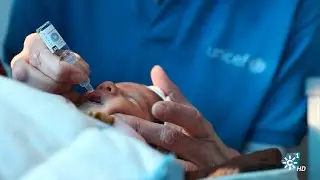 Vacunación con retraso. Informe sobre el "Estado Mundial de la Infancia" de UNICEF