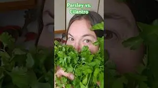 How to tell the difference! #shorts #herbs #cooking