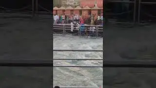 Haridwar🔥❤️ 