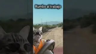 Rumbo  al trabajo