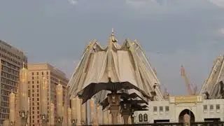 Мадинада Катта зонтиклар очилиши