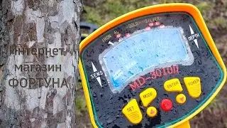 MD 3010 - что это за зверь