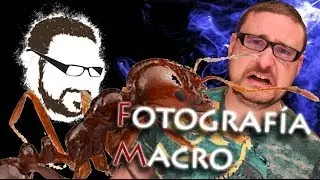 FOTOGRAFÍA MACRO [Tutoriales de Fotografía]