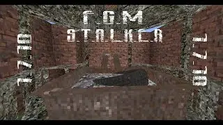 Сборка  FGM S.T.A.L.C.R.A.F.T