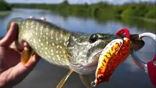 🐟 ПРАВИЛЬНЫЕ СНАСТИ И ПРИМАНКИ НА ЩУКУ ЛЕТОМ