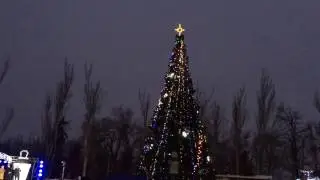 Зажгли елку 19.12.2016