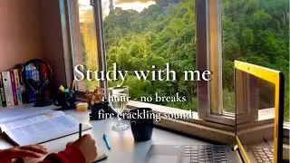 STUDY WITH ME - 1 HOUR at sunset | no breaks | fire crackling sound🔥🪵