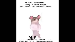 пишите имя для этого кота #кот #рекомендации