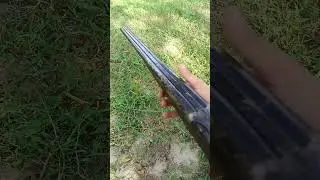 12 bore gun shooting🔥🔥#ammofever #gunvideo #gun video#firearmphotography #ammofever