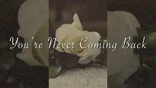 you're never coming back (feat. Cayson Renshaw) - [Vertical Lyric Video/Visualizer]