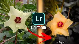 How To Edit A Flower By Lightroom Orange And Black Tone