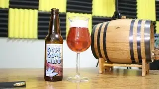 UFC Fight Night 108 Beer Pairing with Flyin' Brian J - Gose