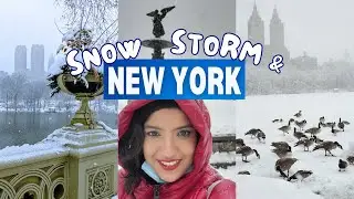 USA Snow Storm Hits NYC! Central Park Transforms into Winter Wonderland