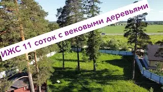 Участок с вековыми деревьями ИЖС 11.4 сотки в п. Елизаветино