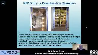 National Toxicology Program's Studies on Cell Phone Radiofrequency Radiation