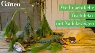 Mini-Tannenbäume aus Reisig: Kreative Weihnachtsdekoration