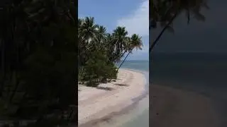 The best island in Brazil 