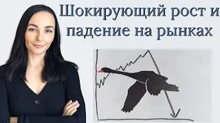 Шокирующий рост и падение на рынке - теория «Чёрного лебедя»