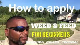 How to apply Weed and Feed for beginners, plus Scotts Weed and Feed
