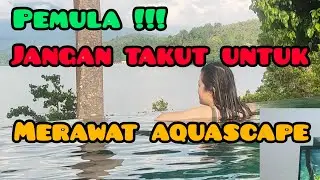Begini jadinya jika pemula merawat aquascape #aquascape #scaping #mainair #jungle #aquarium #viral