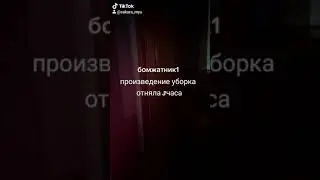 произвели уборку двухкомнатную квартиру где жил один лентяй который любил грязь;)