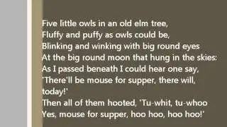 Five Little Owls